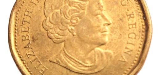 1 dolar kanadyjski z 2013 – ile jest wart?